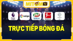 mitom tv