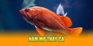 mơ thấy cá