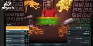 Bet on Dragon Tiger Playtech